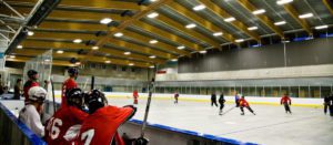 Trout Lake Ice Rink