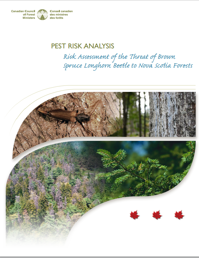 Risk assessment of the threat of brown spruce longhorn beetle to Nova Scotia forests (2014) 