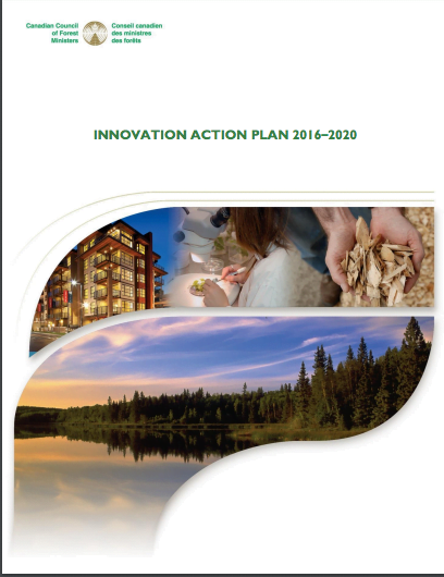 Innovation Action Plan: 2016–2020 