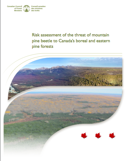 Risk assessment of the threat of mountain pine beetle to Canada’s boreal and eastern pine forests (2019)