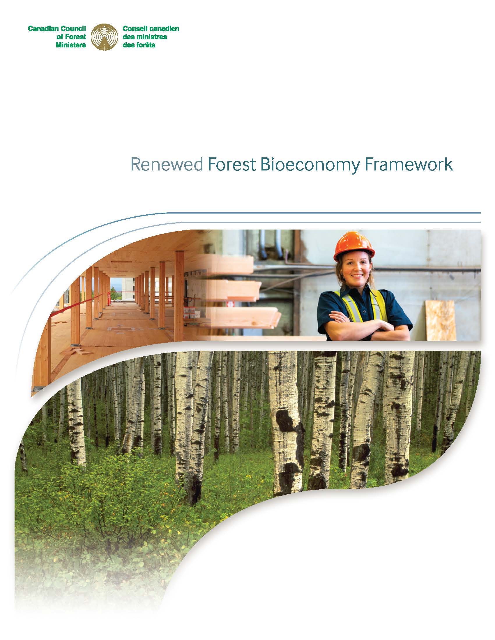 Renewed Forest Bioeconomy Framework